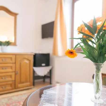 Bed & Breakfast Dandelion Gizella 3*
